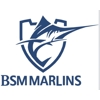 BSM Marlins swimming club